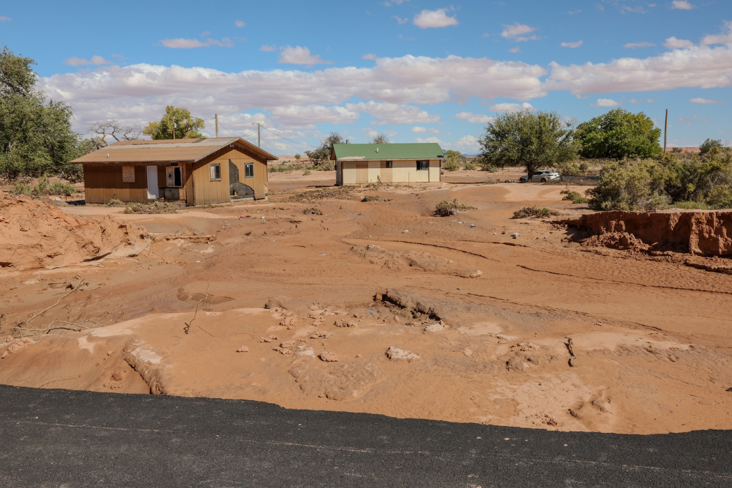 Navajo Rez 2