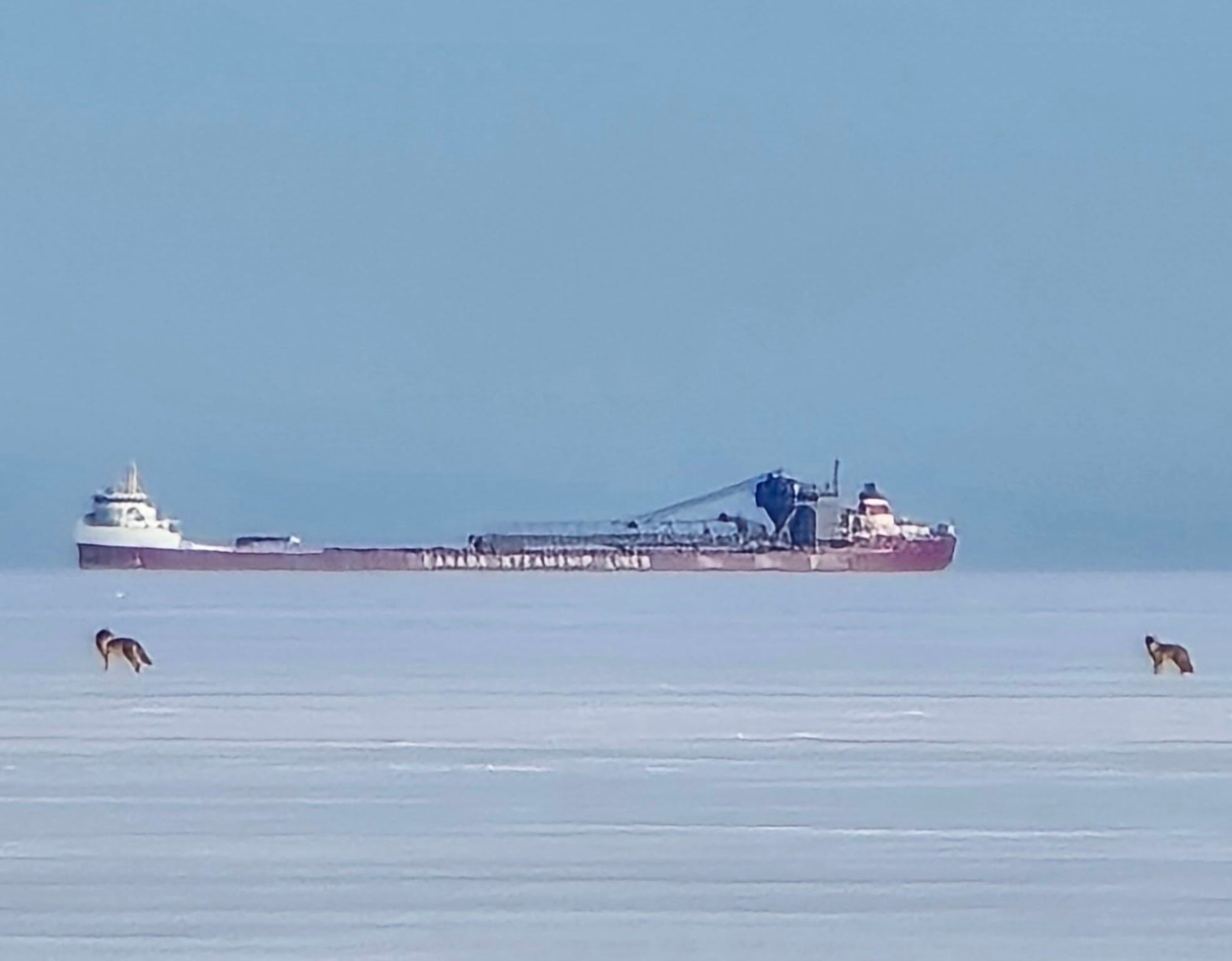 Untitled design - 2026-03-03T203313.282