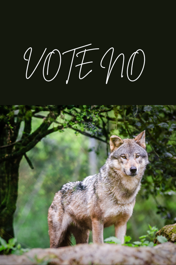 Vote no #1 5_30_26